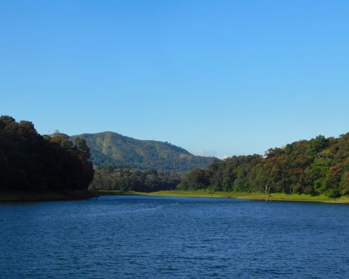 Thekkady wildlife